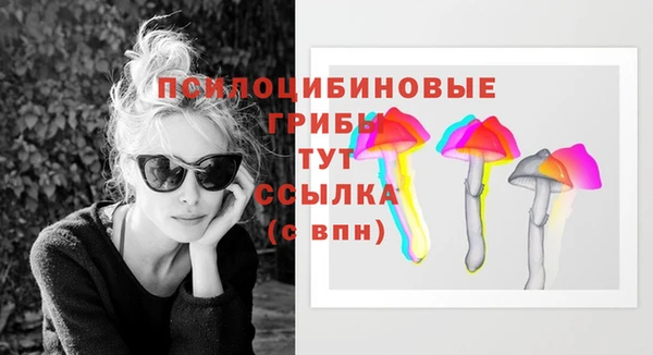 apvp Алексеевка