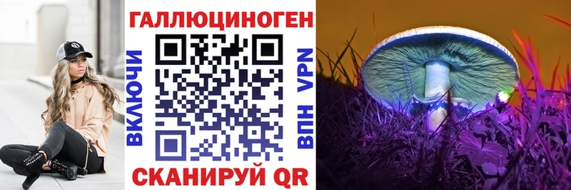 Галлюциногенные грибы Cubensis  Злынка 